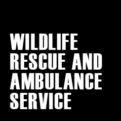 Wildlife Rescue and Ambulance Service (Enfield)